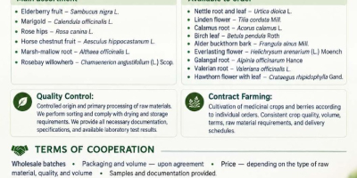 Represento a la empresa agrotécnica ucraniana Galician Herbs. Nos