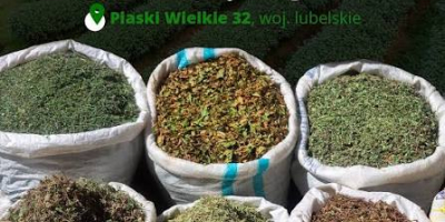 Polskie Zioła se especializa en la obtención y suministro
