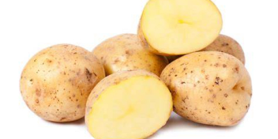 Vendo entre 40 y 50 toneladas de patatas comestibles