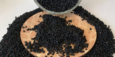 OFERTA: Saúco negro deshidratado Ofrecemos saúco negro deshidratado cuidadosamente