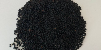 OFERTA: Saúco negro deshidratado Ofrecemos saúco negro deshidratado cuidadosamente