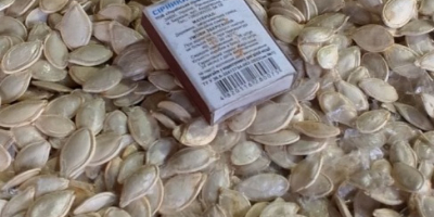 OFERTA: Calabaza sin cáscara Ofrecemos semillas de calabaza secas