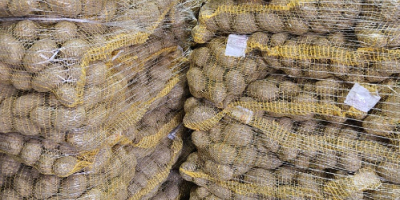 Ofrecemos papas de nuestra propia producción FITO, con la