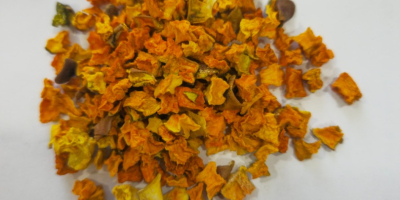 Calabaza deshidratada Calibre: 5x5, 10x10 Color: naranja Zanahorias deshidratadas