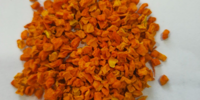 Calabaza deshidratada Calibre: 5x5, 10x10 Color: naranja Zanahorias deshidratadas