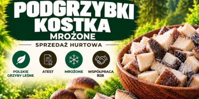 CUBOS DE BOLETO CONGELADOS. SETAS FORESTALES POLACAS CERTIFICADAS DE