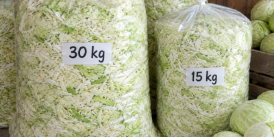 Vendo repollo blanco entero y rallado. Recién cosechado.