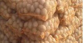 Venta de patatas comestibles Vineta (muy sabroso y visualmente