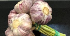 Hola. Venderé el ajo Harnaś de mi propia granja.