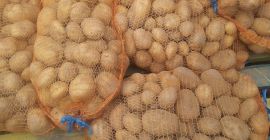 Hola, vendo patatas muy sabrosas criadas en una pequeña