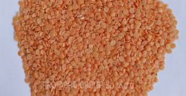 *** Lentejas rojas (mitades) *** Parámetros de calidad: Pureza