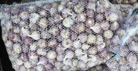 Ajo polaco Harnas. Venderé 3 toneladas de ajo morado.
