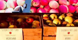 Manzanas en venta en cantidades minoristas y mayoristas. Actualmente
