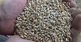 hola a la venta cerca de 9 toneladas de