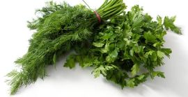 Venta de eneldo y perejil en grandes cantidades. Exportaciones