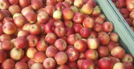 Hola, venderé Jonagoreda Supra en la caja o caja