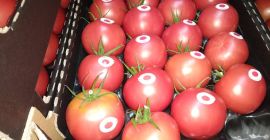 Venderé tomate frambuesa, polaco, bonito, fresco. Recepción en Błędów