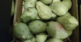 Venta de pera industrial, lukasówka, pickup en Grójec,