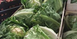 Venta de coliflor - 6 uds. / Caja de