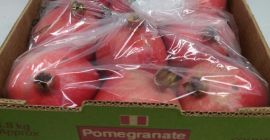 La fruta posee una piel gruesa de color escarlata