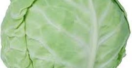 Venderé repollo blanco en las cabezas o rallado. Plantación