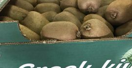 KIWI I GATUNKU DE GRECIA Vendemos una variedad de