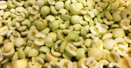 Venderé una manzana pelada a máquina. Mitades, cubos, rebanadas