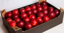 Compraré cantidades al por mayor de manzanas Jonaprince, Red