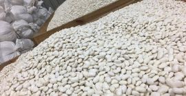 Hola, vendo TIROWE cantidad de frijoles, huevo enano de