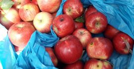 Compraré una manzana orgánica, una manzana sin residuo. Compraré