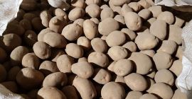 PATATAS AMARILLAS Y ROJAS EN CANTIDAD VENDERÉ. MUY BUENA