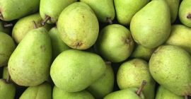 Pera fresca de lucas. Tengo un montón de pera