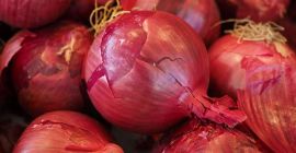 Compraré cebollas en cantidades al por mayor. Cebolla roja,