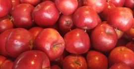Venderé manzana naidared, idared en muy buenas condiciones. Tinción