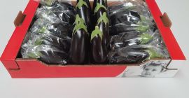 A la venta una berenjena española (grande) sin intermediarios