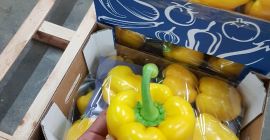 Pimiento rojo, verde, amarillo, naranja de España, calibre G