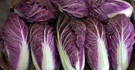 Venderé col roja china. Cantidad de aproximadamente 15 toneladas.