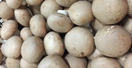 Tengo que ofrecer setas marrones. El producto está certificado