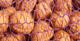 Venderé nueces, importación de Macedonia. Cantidades al por mayor.