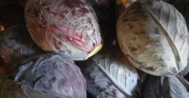 Venderé calibre rojo de 1 kg a 5 kg,