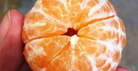 Venderé una mandarina - talla 3.4 - suelta -