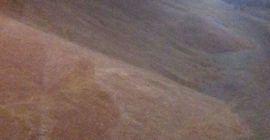 Productor agrícola que vende lino ecológico con certificado de