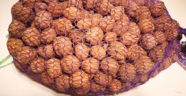 Venderé nuez entera (sin cáscara). Importación de Macedonia. Embalaje: