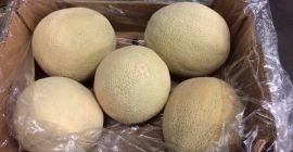 Venderé Melon - Oro caribeño - en cajas de
