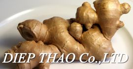 - Nombre del producto: jengibre fresco - Origen: Vietnam.