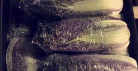 Hola, vendo repollo chino peso verde 0.6-1.5 kg. Embalaje