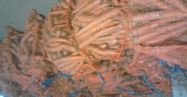 Venderé forraje, Venderé forraje,