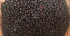 Vamos a vender chokeberry congelado de Ucrania - 10