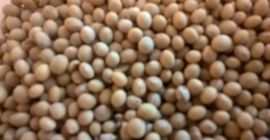 Colección limpia Soya Mavka 2017. Envasado después de 50