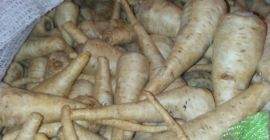 Venderé perejil industrial, sin calibrar, lavado, empaque: big bag.